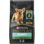akc boston terrier puppy food we use