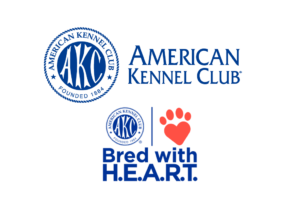 AKC-registered Boston Terrier puppies with a health guarantee.